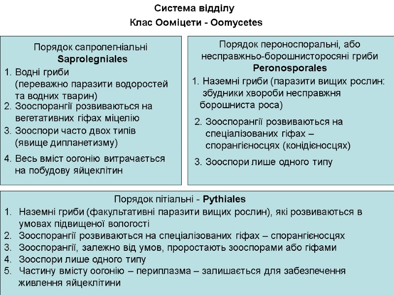 Система відділу Клас Ооміцети - Oomycetes Порядок сапролегніальні  Saprolegniales Порядок пероноспоральні, або несправжньо-борошнисторосяні